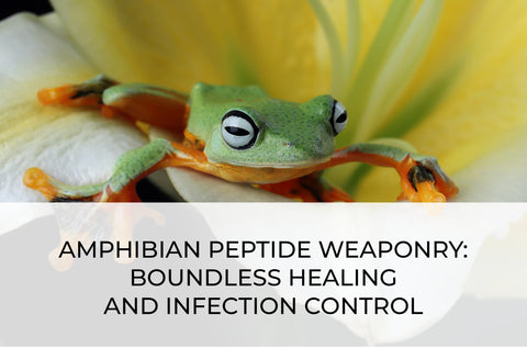 AMPHIBIAN PEPTIDE WEAPONRY: BOUNDLESS HEALING AND INFECTION CONTROL