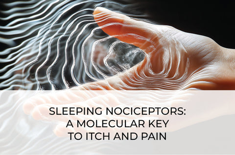 SLEEPING NOCICEPTORS: A MOLECULAR KEY TO ITCH AND PAIN